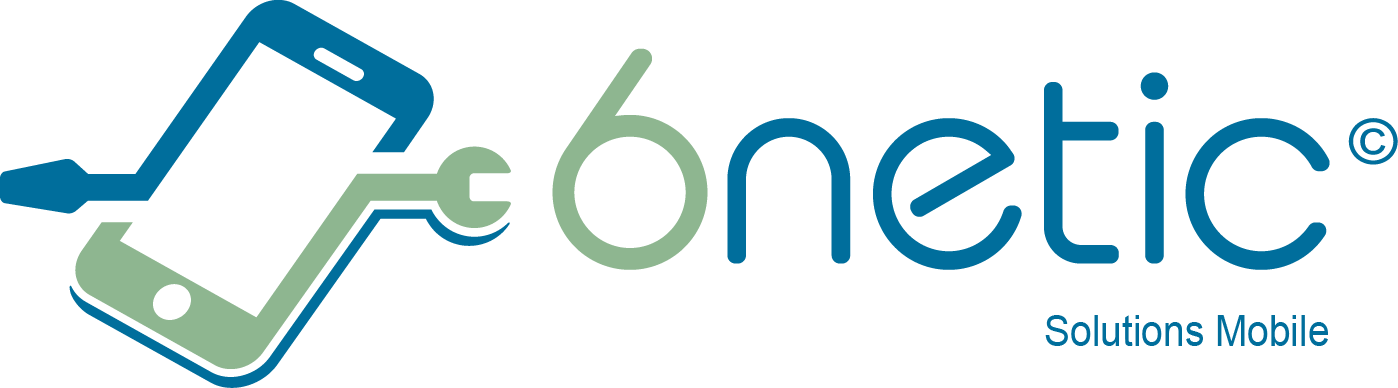 Logo 6netic